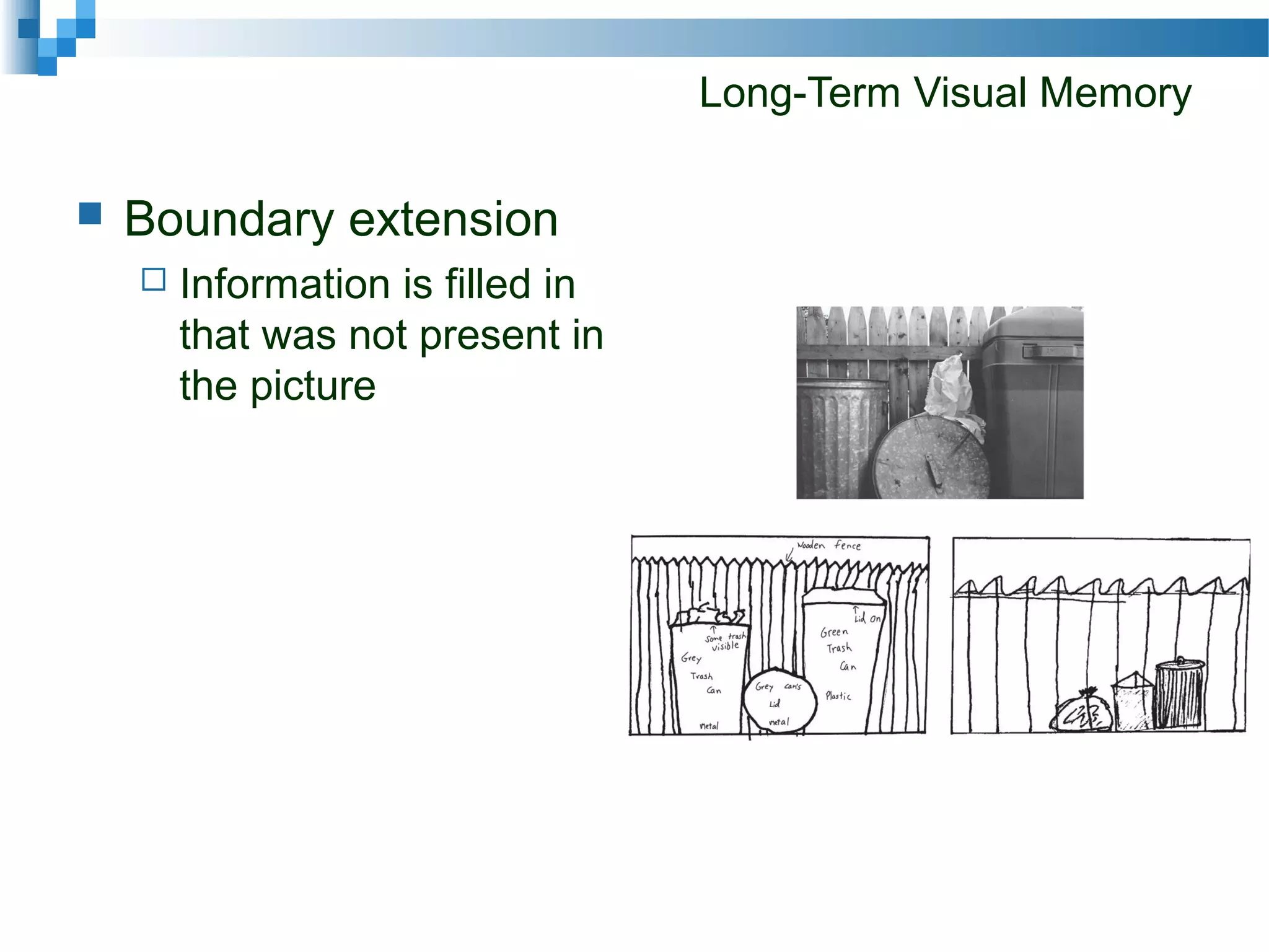 Long-Term Visual Memory
 Boundary extension
 Information is filled in
that was not present in
the picture
 