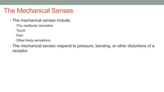 The Mechanical Senses
• The mechanical senses include:
• The vestibular sensation
• Touch
• Pain
• Other body sensations
• The mechanical senses respond to pressure, bending, or other distortions of a
receptor
 