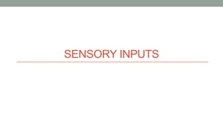 SENSORY INPUTS
 