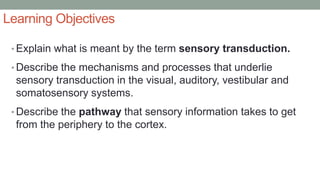Learning Objectives
• Explain what is meant by the term sensory transduction.
• Describe the mechanisms and processes that underlie
sensory transduction in the visual, auditory, vestibular and
somatosensory systems.
• Describe the pathway that sensory information takes to get
from the periphery to the cortex.
 