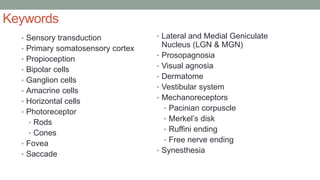 Keywords
• Lateral and Medial Geniculate
Nucleus (LGN & MGN)
• Prosopagnosia
• Visual agnosia
• Dermatome
• Vestibular system
• Mechanoreceptors
• Pacinian corpuscle
• Merkel’s disk
• Ruffini ending
• Free nerve ending
• Synesthesia
• Sensory transduction
• Primary somatosensory cortex
• Propioception
• Bipolar cells
• Ganglion cells
• Amacrine cells
• Horizontal cells
• Photoreceptor
• Rods
• Cones
• Fovea
• Saccade
 