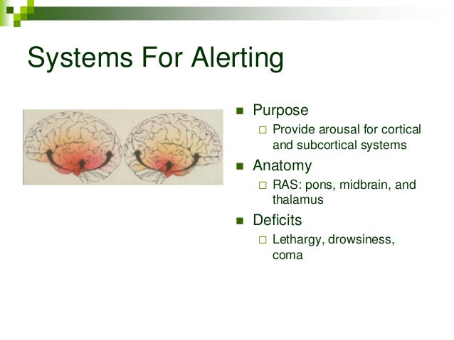 amnestic disorder vs dementia amnestic disorder vs dementia