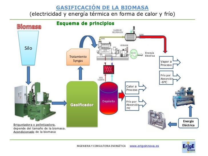 Cogeneracion por gasificacion de biomasa o residuos