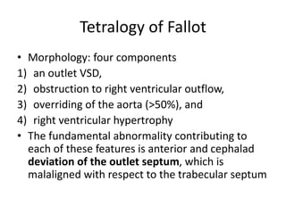 Cogenital heart ds. | PPTX