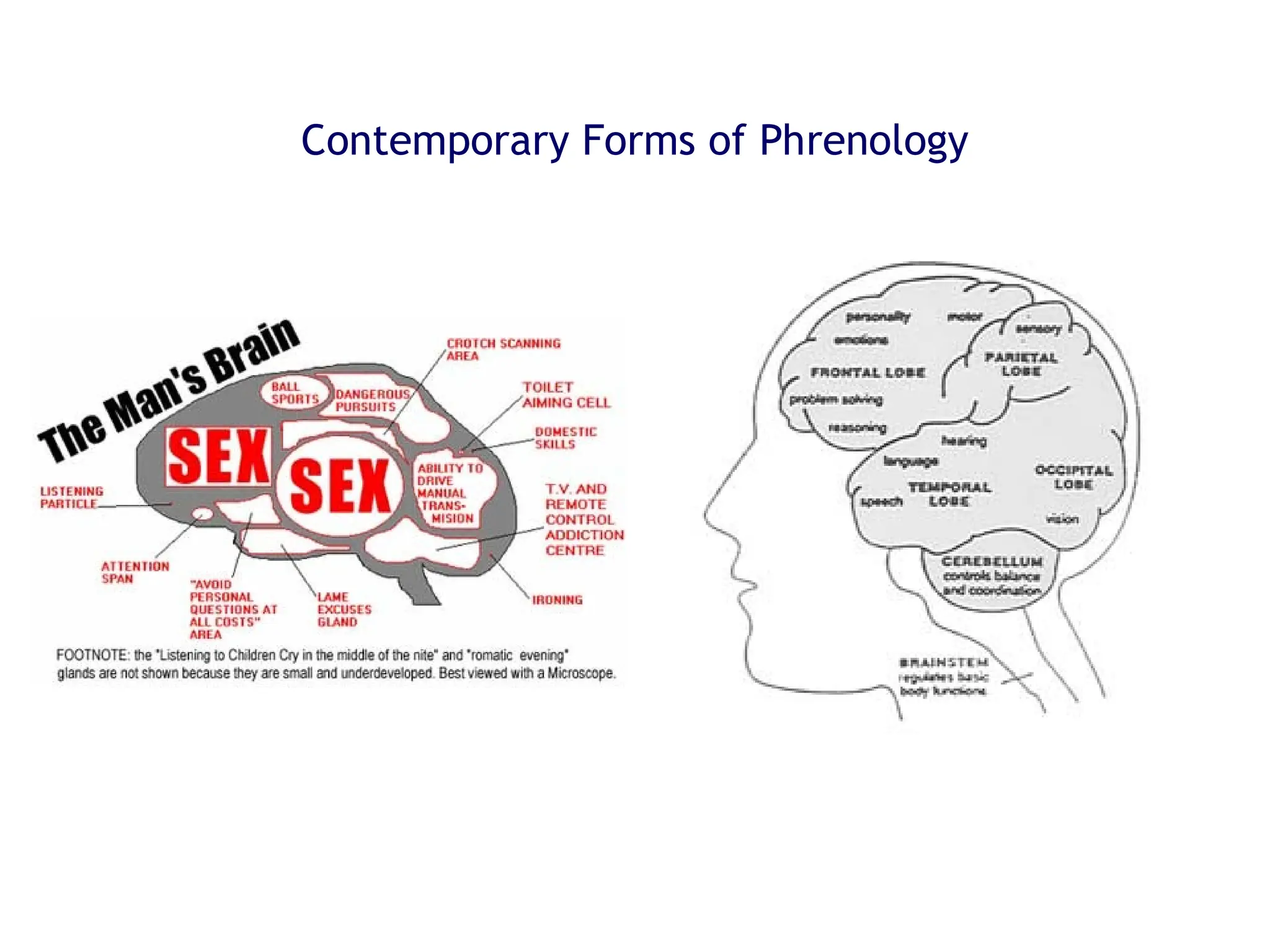 Contemporary Forms of Phrenology
 