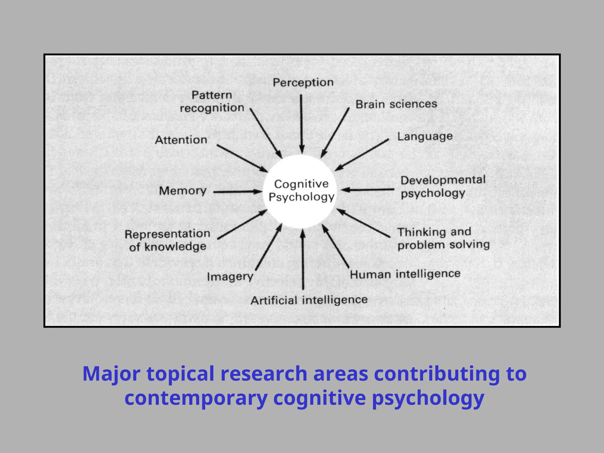 Major topical research areas contributing to
contemporary cognitive psychology
 