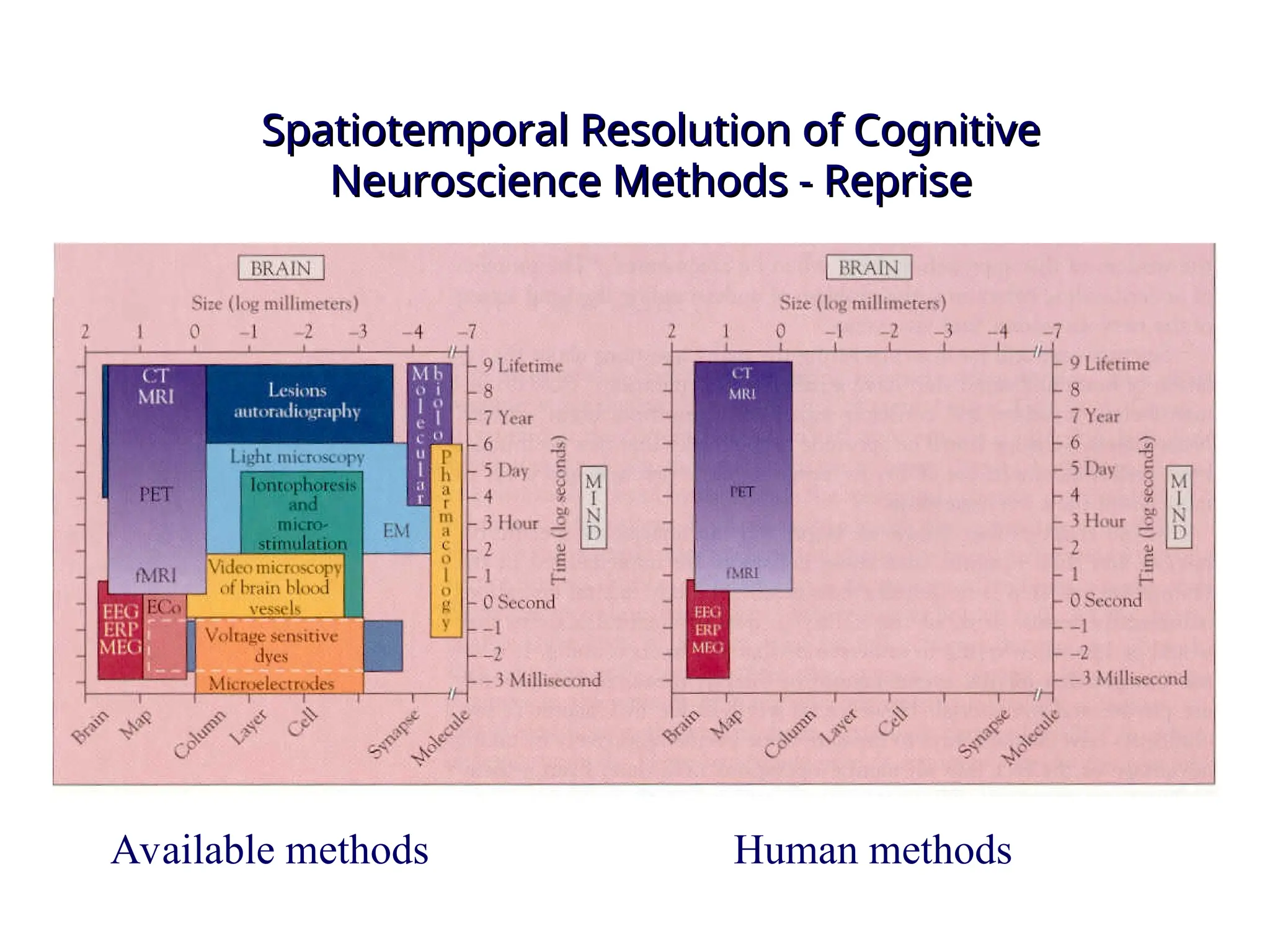 Spatiotemporal Resolution of Cognitive
Spatiotemporal Resolution of Cognitive
Neuroscience Methods - Reprise
Neuroscience Methods - Reprise
Available methods Human methods
 