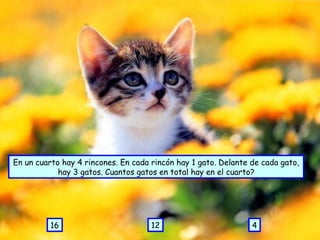 En un cuarto hay 4 rincones. En cada rincón hay 1 gato. Delante de cada gato, hay 3 gatos. Cuantos gatos en total hay en el cuarto? 4 12 16 
