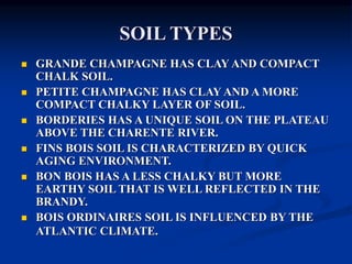SOIL TYPES
 GRANDE CHAMPAGNE HAS CLAY AND COMPACT
CHALK SOIL.
 PETITE CHAMPAGNE HAS CLAY AND A MORE
COMPACT CHALKY LAYER OF SOIL.
 BORDERIES HAS A UNIQUE SOIL ON THE PLATEAU
ABOVE THE CHARENTE RIVER.
 FINS BOIS SOIL IS CHARACTERIZED BY QUICK
AGING ENVIRONMENT.
 BON BOIS HAS A LESS CHALKY BUT MORE
EARTHY SOIL THAT IS WELL REFLECTED IN THE
BRANDY.
 BOIS ORDINAIRES SOIL IS INFLUENCED BY THE
ATLANTIC CLIMATE.
 