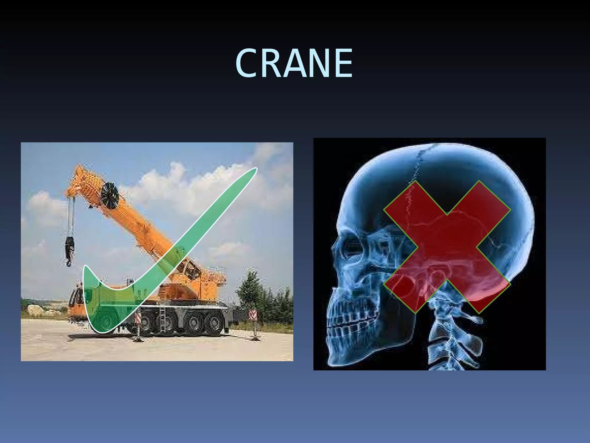 CRANE 