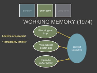 Sensory Short-term Long-term
Episodic
Buffer (2000)
Lifetime of seconds!
“Temporarily infinite”
WORKING MEMORY (1974)
Phonological
loop
Visio-Spatial
Sketch pad Central
Executive
 