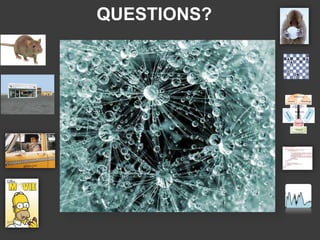 QUESTIONS?
Indices
Spatial
Goals
Attention
Bindings
Visual
 