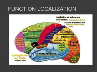 FUNCTION LOCALIZATION
 