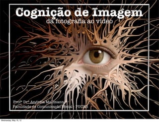 Cognição de Imagem
                             da fotograﬁa ao vídeo




            Profª Drª Andréia Mallmann
            Faculdade de Comunicação Social - PUCRS


Wednesday, May 16, 12
 