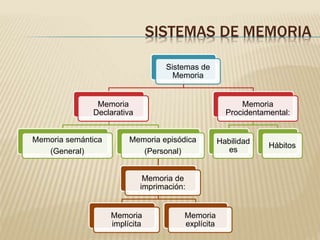 SISTEMAS DE MEMORIA
Sistemas de
Memoria
Memoria
Declarativa
Memoria semántica
(General)
Memoria episódica
(Personal)
Memoria de
imprimación:
Memoria
implícita
Memoria
explícita
Memoria
Procidentamental:
Habilidad
es
Hábitos
 