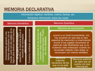 MEMORIA DECLARATIVA
Información objetiva: nombres, rostros, fechas, etc.
Almacena información sobre las cosas:
Memoria Semántica
Conocimientogeneralylos
hechosrelacionadosconel
mundo,juntoconlasreglasdela
lógicaparadeducirotroshechos.
Alrecuperarunconcepto
específico,lamemoriaactivael
recuerdodeconceptos
relacionados.
Funcionamedianteasociaciones
Memoria Episódica
eslamemoriadeloshechosde
nuestrasvidasindividuales,
(nuestrasexperiencias).Puede
sermuydetallada
Memoria de imprimación:
ocurre a un nivel inconsciente. (no
hay acuerdo en que sea un tipo
especial de memoria) La imprimación
ocurre si los sujetos reconocen el
estímulo más fácilmente que si no
hubieran visto antes(aún cuando no
recuerden haberlo visto antes, lo
reconocen con menos señales)
Memoria
implícita:
recuerdos de los
que no se está
consciente
Memoria explícita
: se sabe que se
cuenta con esa
información
 