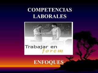 COMPETENCIASACADÉMICAS¿EN QUÉ LAS OBSERVÓ?SUPERIORESINTEGRATIVAS ADMINISTRAR LA VIDA, LA FAMILIA, LA ECONOMÍA PERSONAL