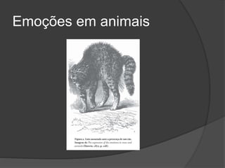 Emoções em animais
 