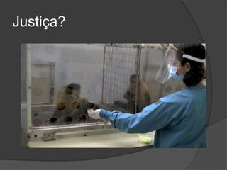 Justiça?
 