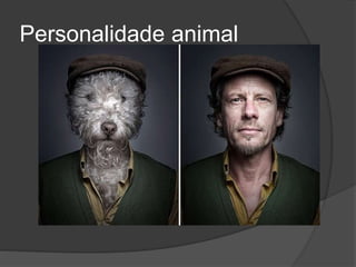 Personalidade animal
 