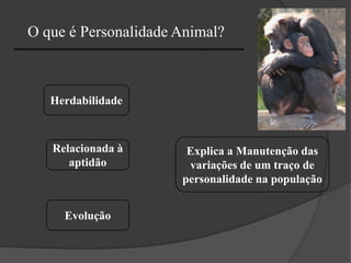 O que é Personalidade Animal?
Herdabilidade
Evolução
Relacionada à
aptidão
Explica a Manutenção das
variações de um traço de
personalidade na população
 