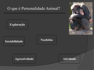 O que é Personalidade Animal?
Exploração
Neofobia
Agressividade Atividade
Sociabilidade
 