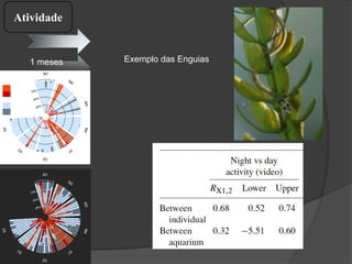 1
2
3
4
5
6
7
8
25%
50%
75%
M1
M2
M3M4
S1
S2
S3
S4
score
NC
NF
RA
RF
1 meses
1
2
3
4
5
6
7
8
25%
50%
75%
M1
M2 M3M4
S1
S2
S3
S4
score
NC
NF
RA
RF
score
Dead
NC
NF
RA
RF
score
Dead
NC
NF
RA
RF
Ativos
parada
Exemplo das Enguias
Atividade
 