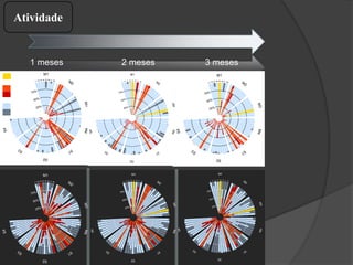 1
2
3
4
5
6
7
8
25%
50%
75%
M1
M2
M3M4
S1
S2
S3
S4
score
NC
NF
RA
RF
1
2
3
4
5
6
7
8
25%
50%
75%
M1
M2
M3M4
S1
S2
S3
S4
score
Dead
NC
NF
RA
RF
1
2
3
4
5
6
7
8
25%
50%
75%
M1
M2
M3M4
S1
S2
S3
S4
score
Dead
NC
NF
RA
RF
1 meses 2 meses 3 meses
1
2
3
4
5
6
7
8
25%
50%
75%
M1
M2 M3M4
S1
S2
S3
S4
score
NC
NF
RA
RF
1
2
3
4
5
6
7
8
25%
50%
75%
M1
M2
M3M4
S1
S2
S3
S4
score
Dead
NC
NF
RA
RF
1
2
3
4
5
6
7
8
25%
50%
75%
M1
M2
M3M4
S1
S2
S3
S4
score
Dead
NC
NF
RA
RF
score
Dead
NC
NF
RA
RF
score
Dead
NC
NF
RA
RF
score
Dead
NC
NF
RA
RF
Ativos
parada
Mortos
Atividade
 