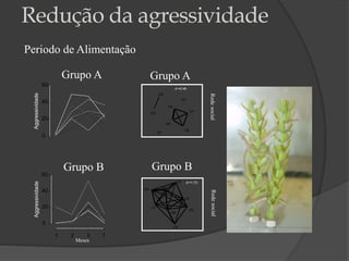 DY
DO
DR
DB
VY
VO
VR
VB
d =0.46
DY
DO DR
DB
VY
VO
VR
VB
d =1.73
Grupo A
Grupo B
RedesocialRedesocial
Periodo de Alimentação
0
20
40
60
1 2 3 7
0
20
40
60
Aggressividade
Meses
Grupo A
Grupo B
Aggressividade
Redução da agressividade
 