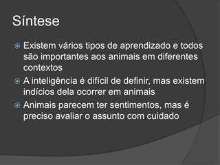 Síntese
 Existem vários tipos de aprendizado e todos
são importantes aos animais em diferentes
contextos
 A inteligência é difícil de definir, mas existem
indícios dela ocorrer em animais
 Animais parecem ter sentimentos, mas é
preciso avaliar o assunto com cuidado
 