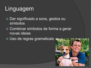 Linguagem
 Dar significado a sons, gestos ou
símbolos
 Combinar símbolos de forma a gerar
novas ideias
 Uso de regras gramaticais
 