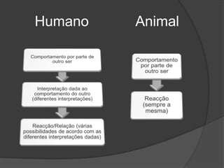 	Humano		   Animal