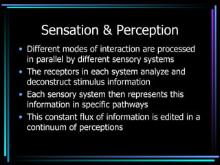 Sensation & Perception Different modes of interaction are processed in parallel by different sensory systems The receptors in each system analyze and deconstruct stimulus information Each sensory system then represents this information in specific pathways This constant flux of information is edited in a continuum of perceptions 