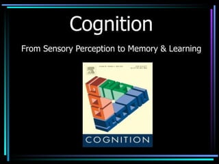 Cognition From Sensory Perception to Memory & Learning 