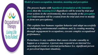 Model of neuro-occupation, intention, meaning and perception
- The process begins with hypothesis formulation at the intention
level, then the meaning level (hypothesis will be tested by trial and
error actions in the environment), then eventually at the perception
level (information will be created from the trial and error to modify
or form new perceptions).
- This explains how humans regulate behavior and adapt successfully
to challenging environmental conditions and, by creating meaning
through engagement in occupations, execute complex occupational
performance.
- Perturbance is any condition that causes circular causality to
happen as a response. A person may respond to an internal (i.e.
neurological event) or external perturbance (i.e. significant person
or perceived important situation).
 