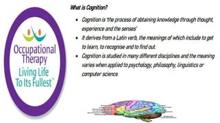 Cognition and Occupational Performance