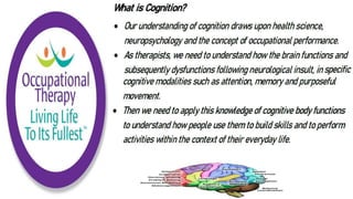 Cognition and Occupational Performance