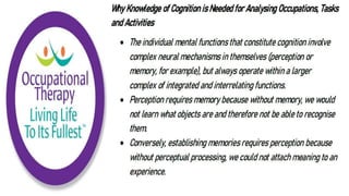 Cognition and Occupational Performance