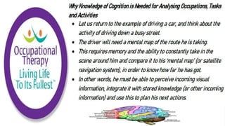 Cognition and Occupational Performance
