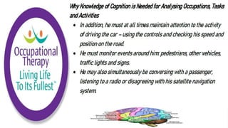 Cognition and Occupational Performance