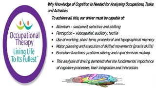 Cognition and Occupational Performance