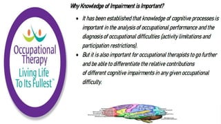 Cognition and Occupational Performance