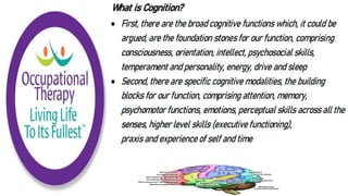 Cognition and Occupational Performance