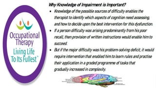 Cognition and Occupational Performance