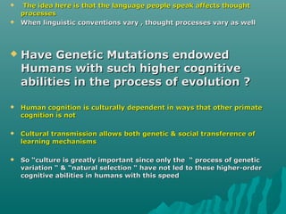Cognition and perception | PPT