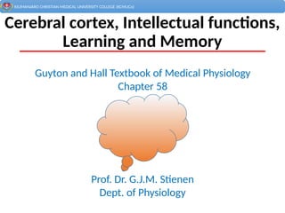 Cerebral Cortex Functions: Intelligence, Memory, and Language ...