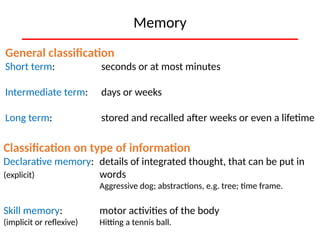 Cerebral Cortex Functions: Intelligence, Memory, and Language ...