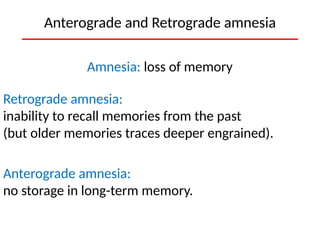 Cerebral Cortex Functions: Intelligence, Memory, and Language ...