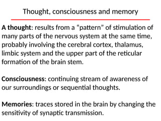 Cerebral Cortex Functions: Intelligence, Memory, and Language ...
