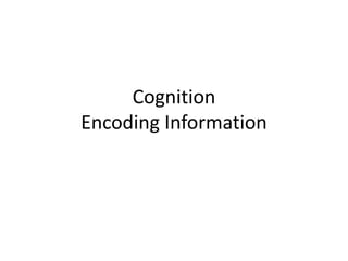 CognitionEncoding Information 
